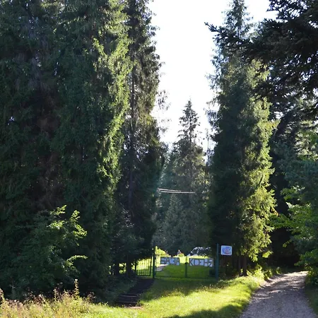Ksenia * Skhidnytsia