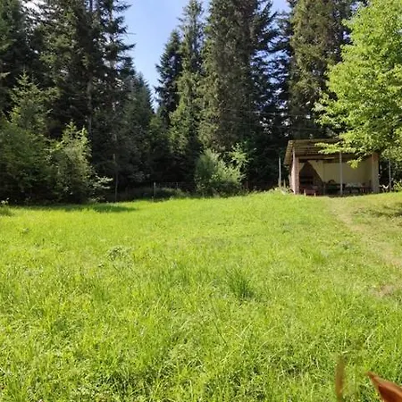 Lodge Ksenia