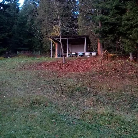 Ksenia * Skhidnytsia