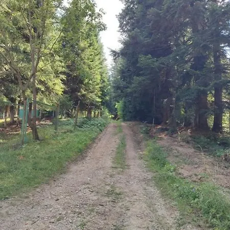 Lodge Ksenia Skhidnytsia