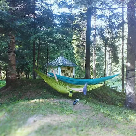 Lodge Ksenia