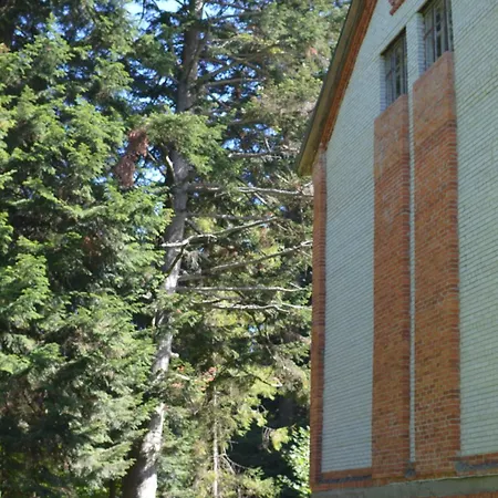 Ksenia Lodge Skhidnytsia