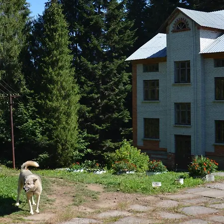 Ksenia Lodge